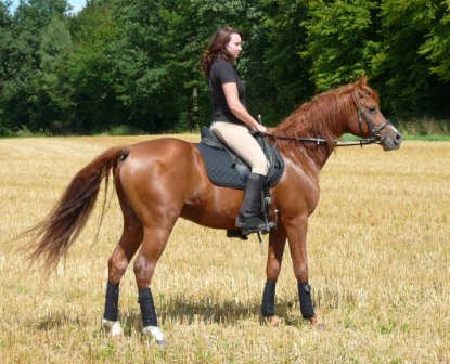 SRF Barolo